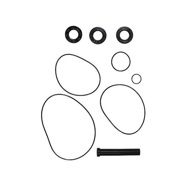 Pump Repair Kits- Kit, APL/D.81/82.17/21, AP Series.
